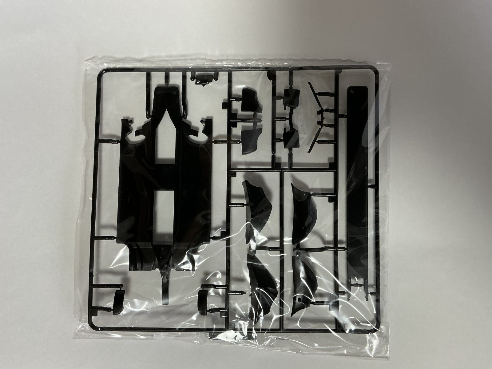 FUJIMI Ferrari 248F1 Brazil GP 2008 1/20 model kit — contents photo 2