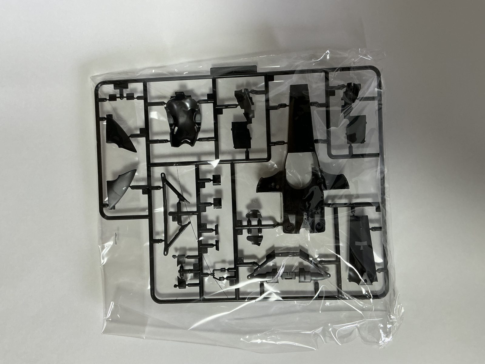 FUJIMI Ferrari 248F1 Brazil GP 2008 1/20 model kit — contents photo 4